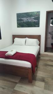 Un dormitorio con una cama con una manta roja. en Hotel Torrado, en Ocaña