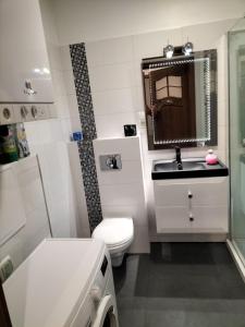 uma casa de banho com um WC, um lavatório e um espelho. em Apartament Ustroń Jaszowiec em Ustroń