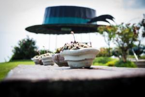 Ogród w obiekcie Panoramahotel Steirerland