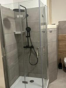 a shower with a glass door in a bathroom at Cheema Apartments Frankfurt am Main in Frankfurt