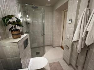 a bathroom with a shower with a toilet and a plant at Svea Deluxe Apartment in Stockholm