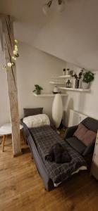 a black dog laying on a bed in a room at Cozy Apt Near Prague Castle in Prague