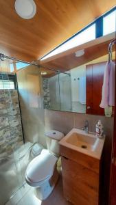 ein Bad mit einem WC, einem Waschbecken und einer Dusche in der Unterkunft Cabañas los Sauces in Tota