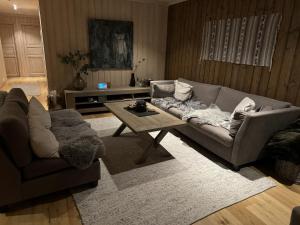 uma sala de estar com um sofá e uma mesa de centro em Geilotunet - Perfekt beliggenhet, sentralt, langs elven, 6 personer em Geilo