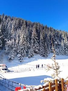 grupa osób jeżdżących na nartach na pokrytej śniegiem górze w obiekcie Villat Kroni Boge Rugove w mieście Boge