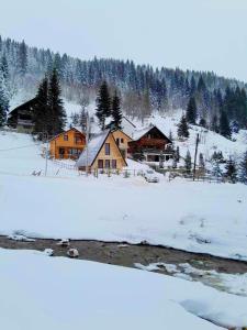 a group of houses in the snow next to a river at Villat Kroni Boge Rugove in Boge