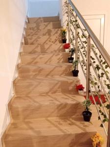 a staircase with wooden floors and potted plants at Villat Kroni Boge Rugove in Boge