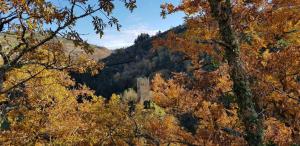 Fotografie z fotogalerie ubytování El Urogallo v destinaci Noceda