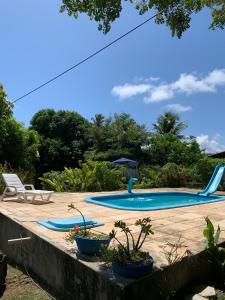 a swimming pool with threeotted plants in a yard at Sítio Vila das Flores in Tibau do Sul