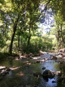 una corriente de agua con rocas en un bosque en Raíces de la Estancia en San Luis