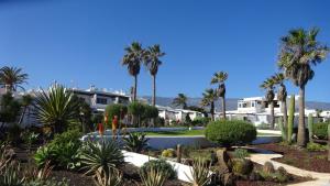 einen Garten mit Palmen und einem Pool in der Unterkunft Ferienwohnung mit Dachterrasse, mehreren Pools, Garten und viel Ruhe in Poris de Abona