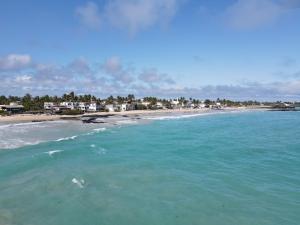 una vista de una playa con el océano en Hotel LA GRAN TORTUGA - ᯤ STARLINK, en Puerto Villamil