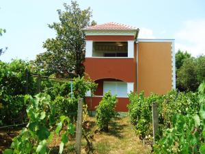 a house in the middle of a vineyard at Apartments Rolovina in Tivat