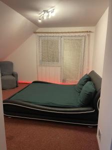 1 dormitorio con 1 cama grande en una habitación en Soukroma ložnice s terasou a pracovnou, en Praga