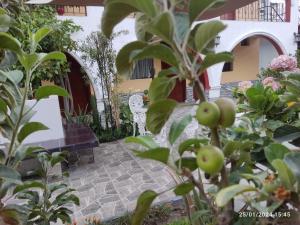 a garden with apple trees and a bench at Casa Baraquel in Arequipa