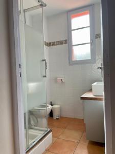 y baño con aseo y ducha acristalada. en Centre de Collioure Appartement tout confort 2-4 pers avec climatisation et wifi classé 2 étoiles, en Collioure