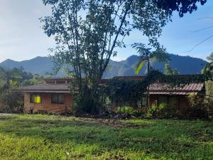 dom z palmą przed nim w obiekcie Sendero de las aves w mieście Mindo
