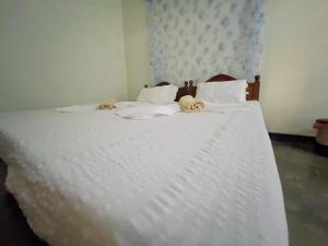 Postel nebo postele na pokoji v ubytování Weeragiri home stay
