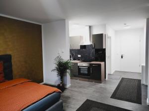 a living room with a kitchen with a stove top oven at Valley of Business Frankfurt-West - Studio Apartment in Hofheim am Taunus