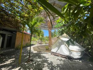 a tent in the middle of a courtyard with trees at suri mũi né homestay in Phan Thiet