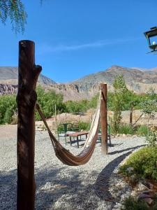 eine Hängematte im Garten mit einem Tisch und Bergen in der Unterkunft Cactus y Almacen - Purmamarca in Purmamarca