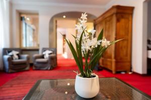Posezení v ubytování Hotel Carlton Munich