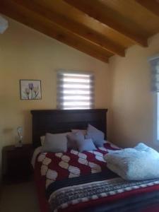 1 dormitorio con 1 cama en una habitación con ventana en cabaña valdivia 2, en Valdivia