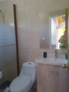 a bathroom with a toilet and a sink and a mirror at cabaña valdivia 2 in Valdivia