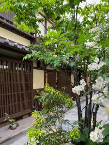 a tree with white flowers in front of a building at Imakumano Terrace - Dohachi An 道八庵 in Kyoto