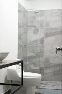 La salle de bains est pourvue de toilettes et d'une douche en verre. dans l'établissement Studios V19, à Colima