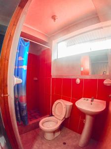een kleine badkamer met een toilet en een wastafel bij Hospedaje Piura in Oxapampa