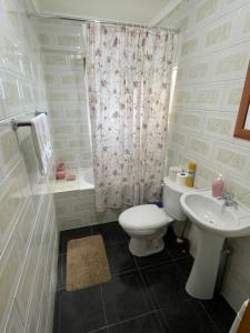 uma casa de banho com um WC, um lavatório e um chuveiro em Cabañas Porvenir Tierra del Fuego em Porvenir