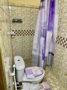 e bagno con servizi igienici e tenda da doccia viola. di LaFina Inn a M'bour