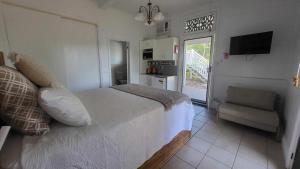 1 dormitorio con 1 cama, 1 silla y TV en Ribbonwood Bed & Breakfast, Emu Park Qld, en Emu Park