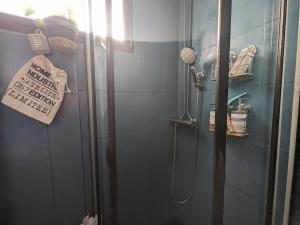 Ένα μπάνιο στο Gîte Chaumont, 2 pièces, 2 personnes - FR-1-611-98