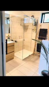 a bathroom with a glass shower and a sink at Cozy country cabin - church conversion in Gellibrand