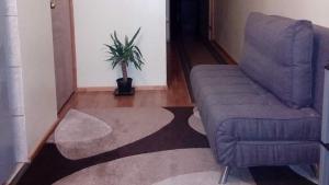 una sala de estar con una silla azul y una planta en Departamento Puclaro en Vicuña
