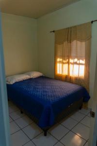 a bedroom with a bed with a blue comforter and a window at Villa La Casita in Santa Ana
