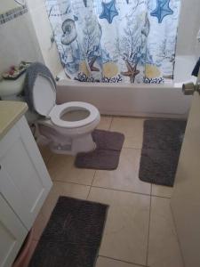 a bathroom with a toilet and two rugs on the floor at Orchid Inn at Montego West Village in Montego Bay