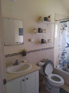 a bathroom with a sink and a toilet and a mirror at Orchid Inn at Montego West Village in Montego Bay