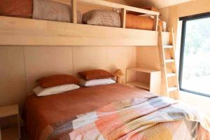 1 dormitorio con 2 literas y 1 cama en Gardeners Shed -Mansfield, en Mansfield