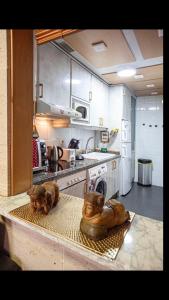 a kitchen with a counter with a stove and a sink at Apartamento MADRID CENTRO GRAN VIA - CALLAO in Madrid