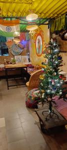 Crazy Camel Hotel & Safari في جيلسامر: شجرة عيد الميلاد على طاولة في متجر