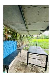einen Picknicktisch unter einem Zelt mit blauem Laken in der Unterkunft Transient House in Pili, Camarines Sur Bicol in Pili