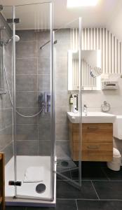 ein Bad mit einer Dusche und einem Waschbecken in der Unterkunft Hotel Vorderburg in Schlitz
