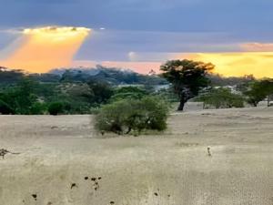 Foto sihtkohas Gowrie Little Plain asuva majutusasutuse Toowoomba Valley Views galeriist