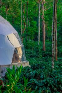 a tent in the middle of a forest at GeoLux - Luxurious Geodesic Dome in Chikmagalur