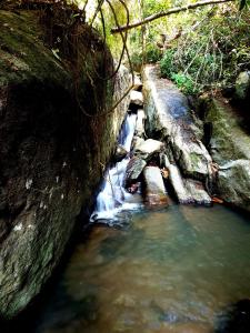 un ruisseau d'eau avec des rochers dans une rivière dans l'établissement Silver Hill Ecovillage, à Kurunegala