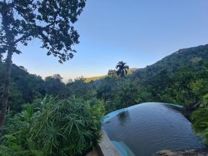 einem Wasserpool inmitten eines Waldes in der Unterkunft Silver Hill Ecovillage in Kurunegala