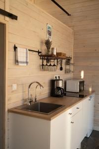a kitchen with a sink and a counter top at Country House in Almaty +29 photos